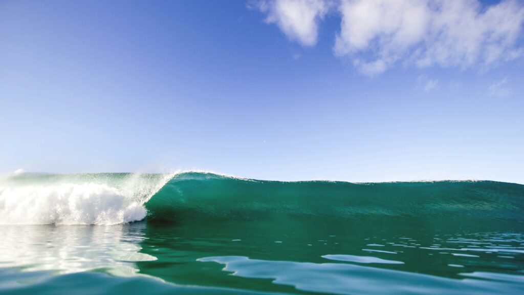 A small, perfectly barreling blue wave rolling towards the shore under clear blue skies