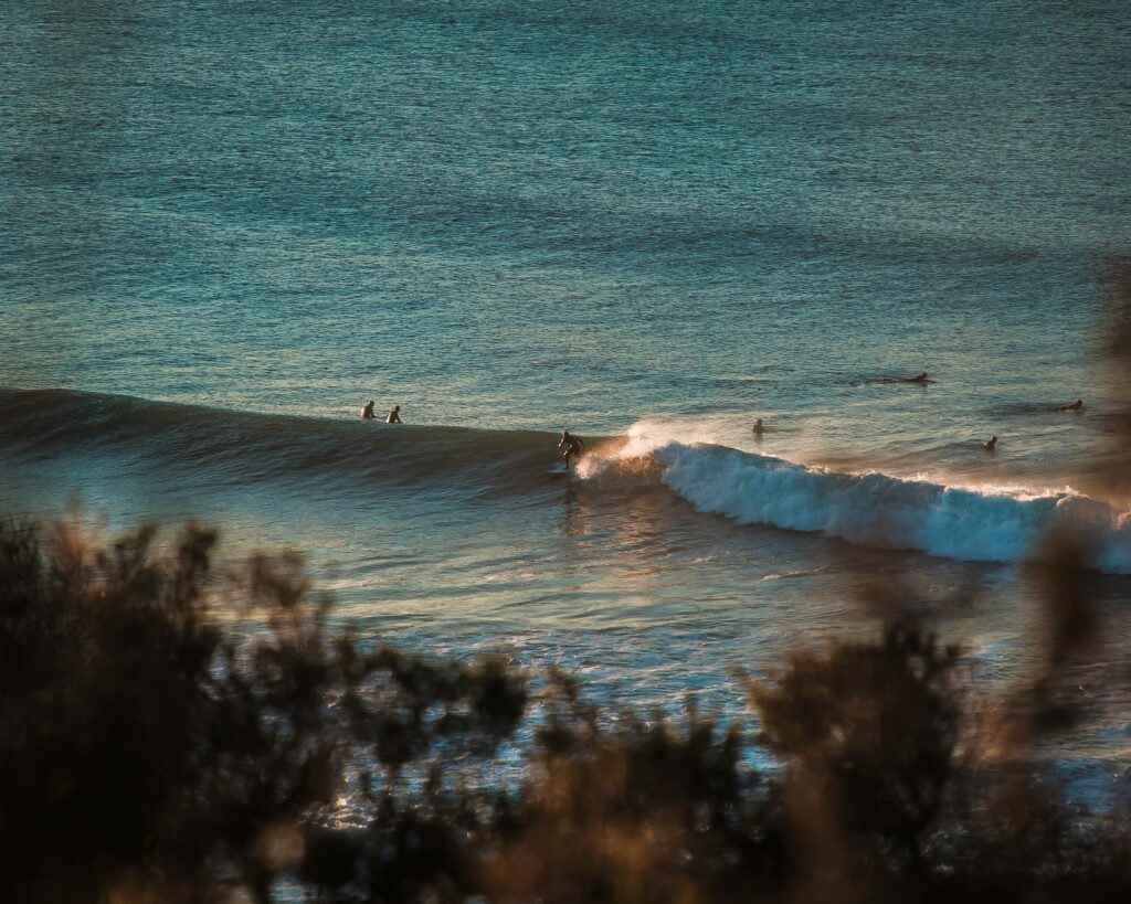 A long, rolling right-hand break at Bells Beach, Victoria, with the sun reflecting off the ocean's surface, creating a shimmering effect and Australia Surf