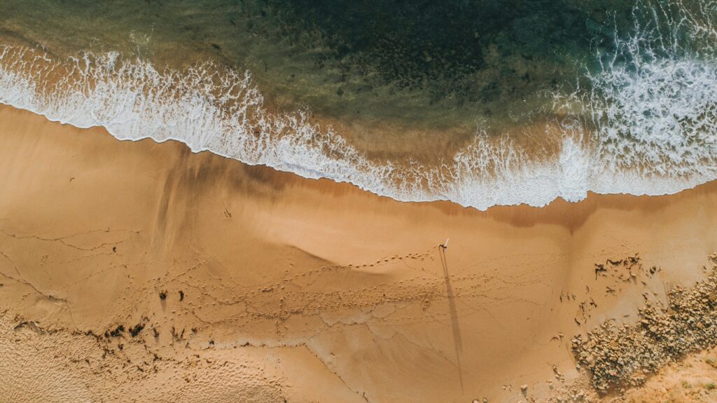 Bird's-eye drone view of a single surfer walking along the golden sand beach at Bells Beach, Torquay