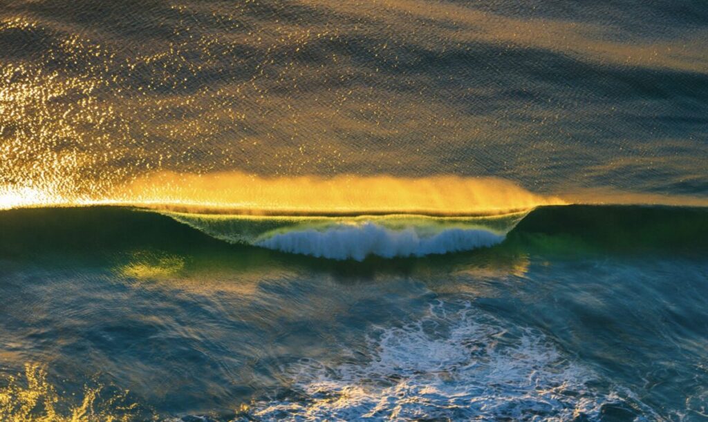 Perfect wave with sunlight reflecting on the water at North Burleigh Beach, Gold Coast