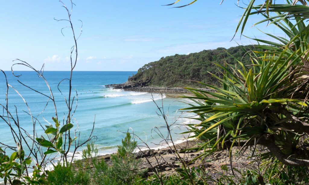 View of Tea Tree Bay in Noosa Heads Surf, with lush shrubs in the foreground, showcasing the sparkling ocean