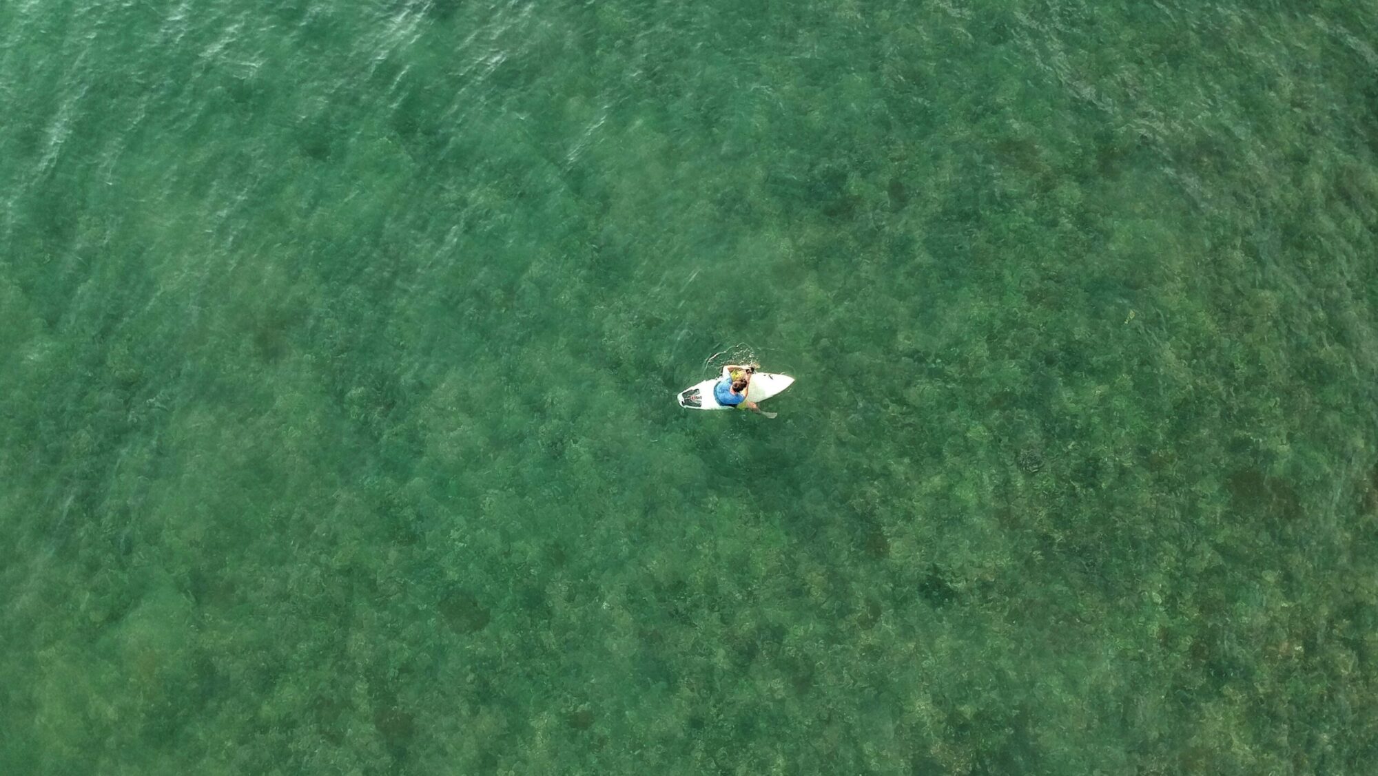 A bird's-eye view of a man sitting alone on his surfboard in clear green-blue water in Puerto Viejo Surf, Costa Rica