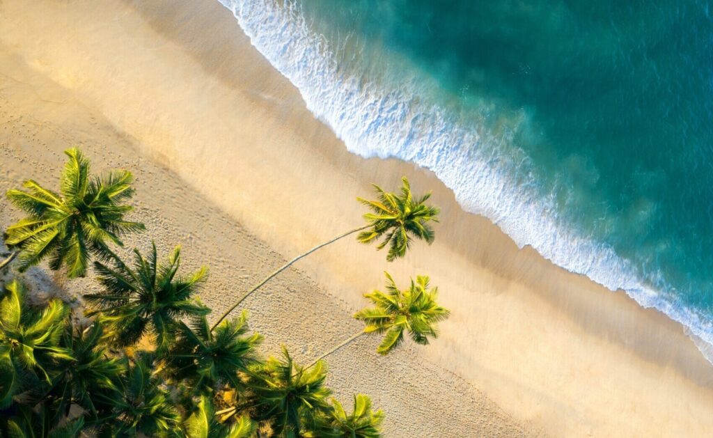 Aerial drone view showcasing golden sand, crystal blue water, and lush palm trees lining the beach, Tangalle Sri Lanka