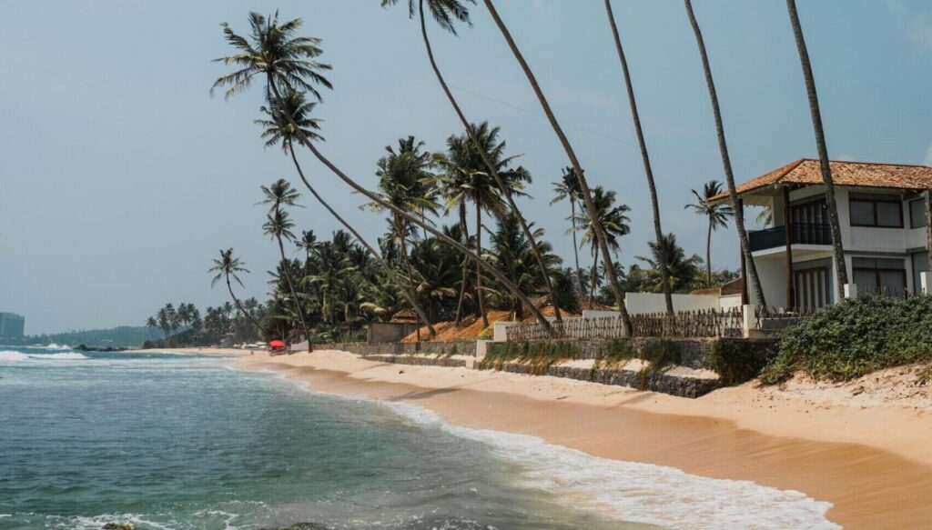 The beach of Unawatuna, Sri Lanka, lined with tall, swaying palm trees that stretch along the shore