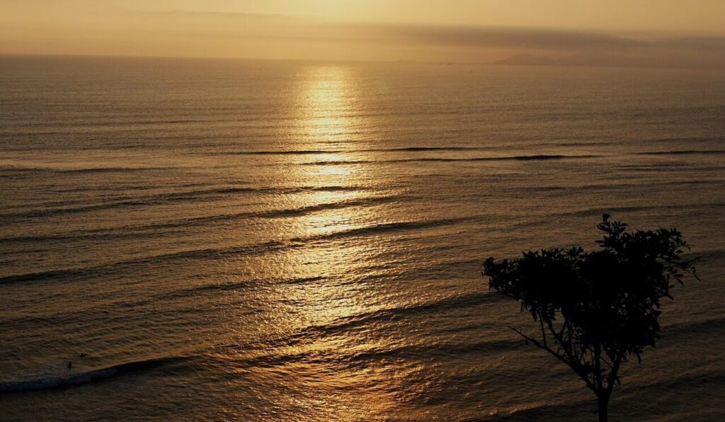 Rolling waves in Miraflore surf, Lima, Peru, against a calm ocean, illuminated by a beautiful yellow sunset