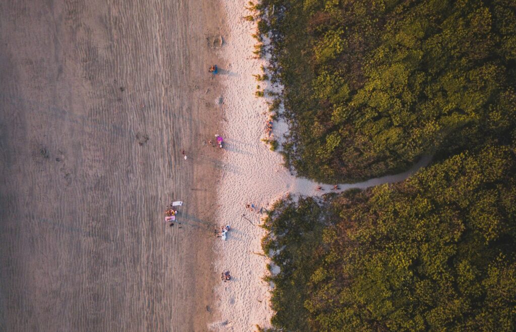 A bird's-eye view of Playa Grande Beach, showcasing golden sands and green trees, with a few people sitting and enjoying the scenic coastal landscape