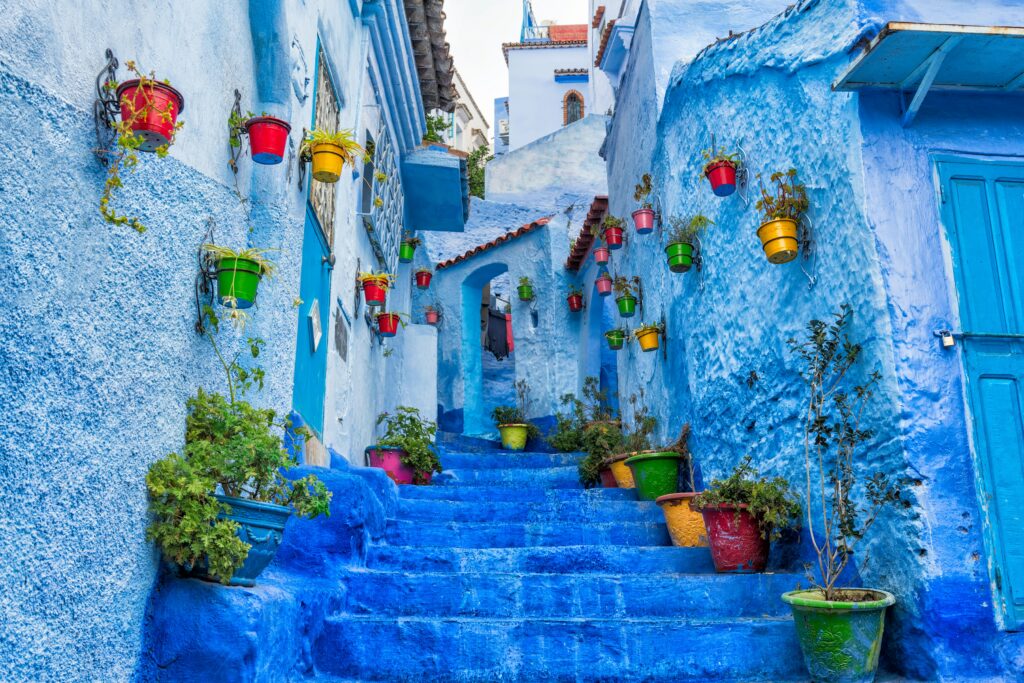 Stunning staircase in Chefchaouen, Morocco, featuring vibrant blue steps and colorful potted plants