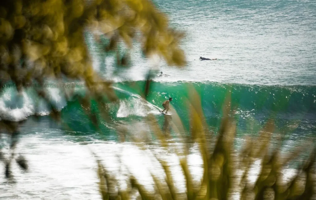 Surfer rides a perfect left-hand wave at Uluwatu Surf Beach, Indonesia, with a palm leaf in the foreground and clean conditions