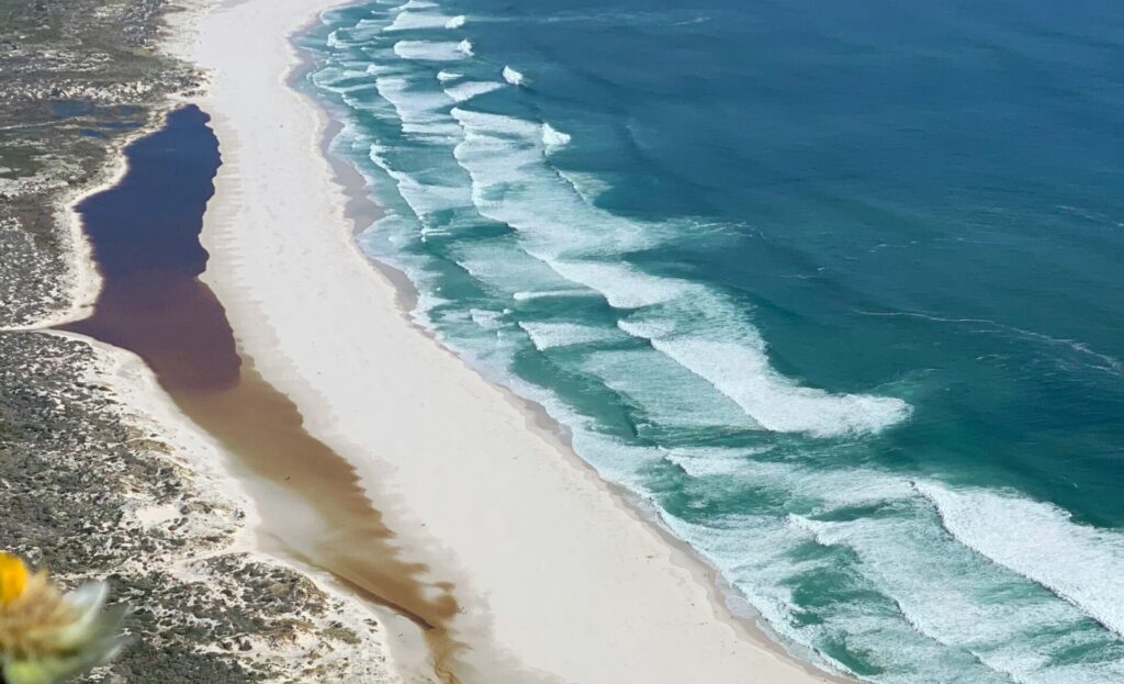 Top-down view of Noordhoek Beach near Kommetjie Surf, showing white sand, ocean waves, and green landscape on the left