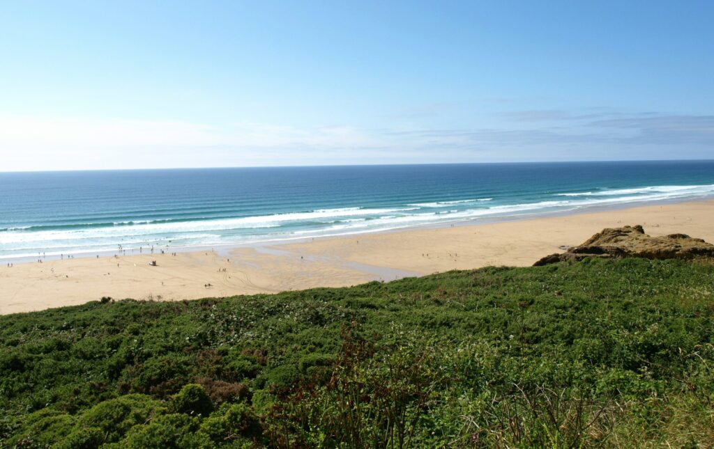 Distant beach with rolling waves and sand, grass in the foreground, and clear blue skies at Watergate Bay, Newquay surf