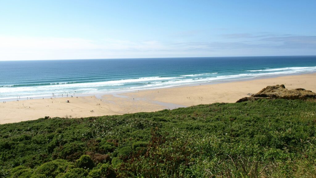 Distant beach with rolling waves and sand, grass in the foreground, and clear blue skies at Watergate Bay, Newquay surf