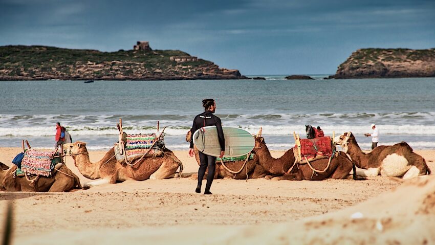 Essaouira surf guide
