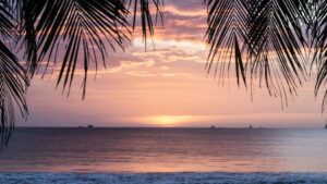 Surf Camp Jaco Costa Rica