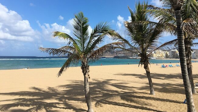 Las Palmas surf beach with palm trees