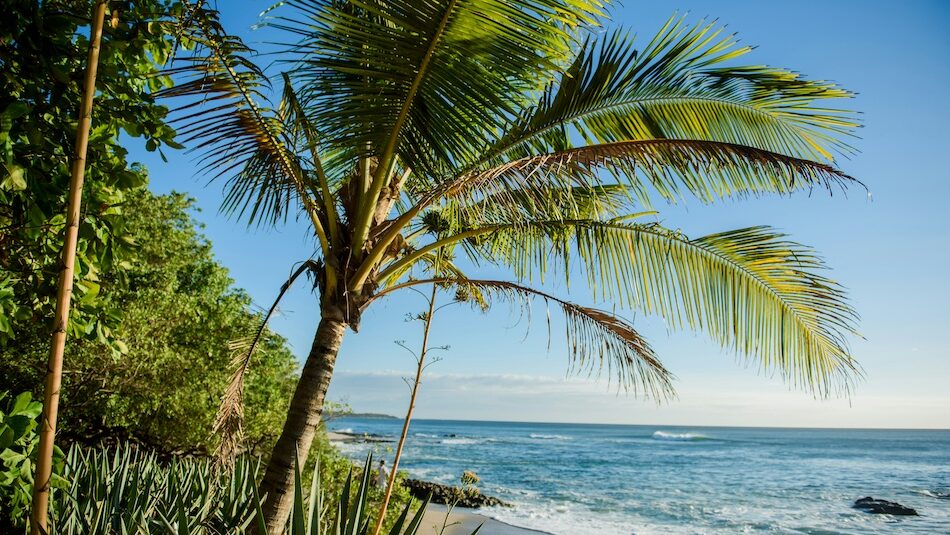 surf camp Tamarindo Costa Rica