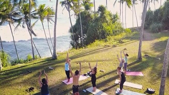 people doing yoga on the grass with Palm trees at Surf & Yoga Mirissa surf retreat