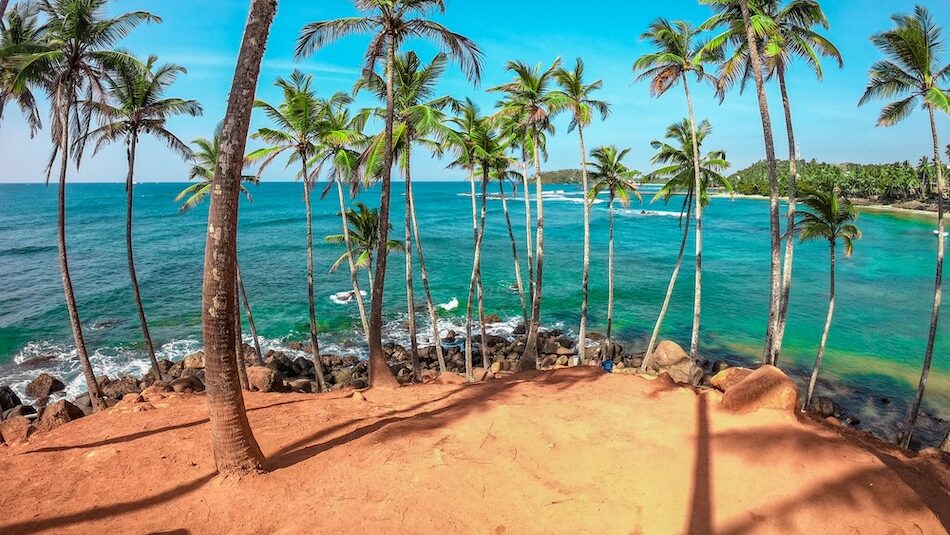 Palm trees and blue ocean at beginner surf camp Sri Lanka