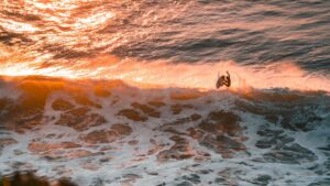 a surfer doing an aerial manoeuvre in sunlight at a surf camp Ericeira Portugal