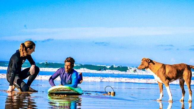 A learner surfer learning on the sand with a dog watching at The Surf Hotel Morocco surf camp