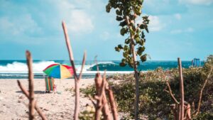 Best Surf Camp Mentawais