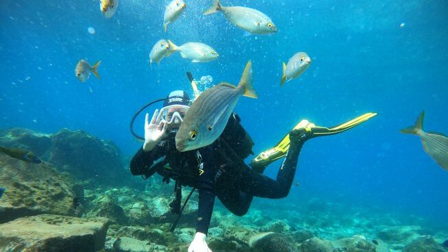 Scuba diving with fishes with Endless Summer Vibes surf camp