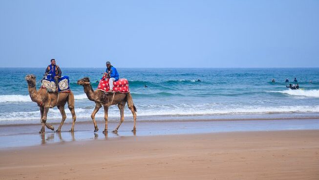 Two camels on the beach in Tamraght Morocco