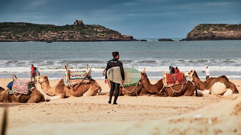 a surfer holding a surfboard on the beach with camels around him and thinking where can I surf in Morocco