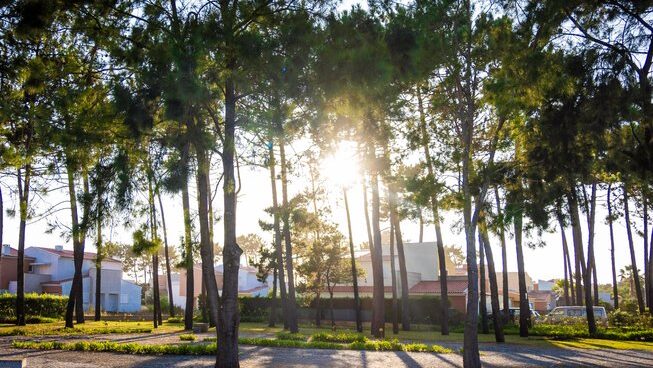Golden Waves Surf & Yoga Lodge Portugal with the sun setting